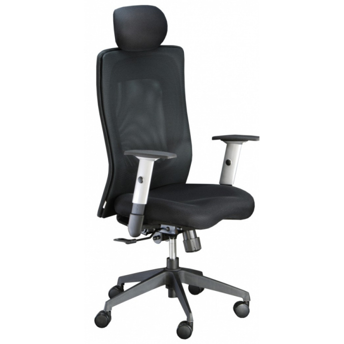 kancelářská židle LEXA s podhlavníkem, černá, č. AOJ545S