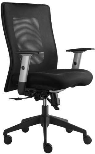 kancelářská židle LEXA bez podhlavníku, černá, č. AOJ1046 gallery main image