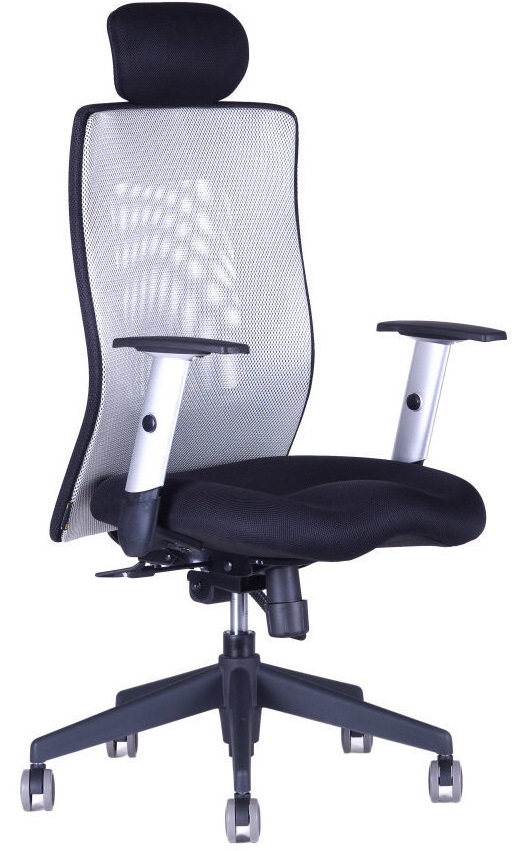 kancelářská židle CALYPSO XL SP4 šedá gallery main image